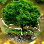 Educacion-Ambiental