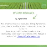 Busqueda ADECOAGRO.. (1) (1)