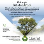 flyer 32