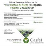 Árbol Flyer 1