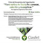Árbol Flyer 4 corregido