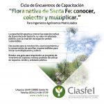 Árbol Flyer 5 corregido