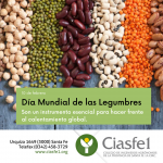 Día mundial de las legumbres (1)