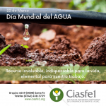 Día mundial del agua final