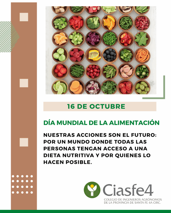 16 OCTUBRE 2025