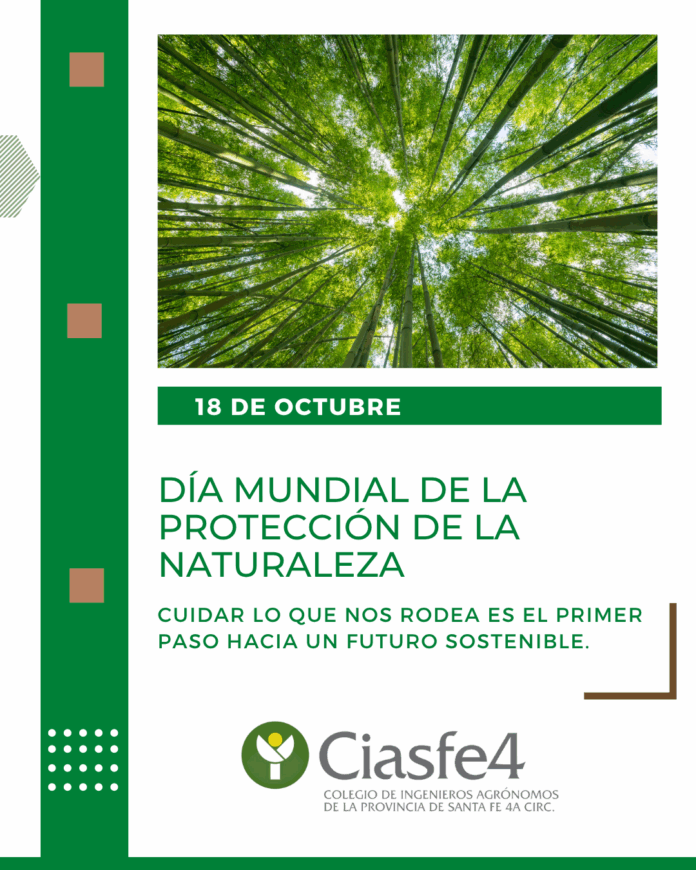 18 DE OCTUBRE 2025
