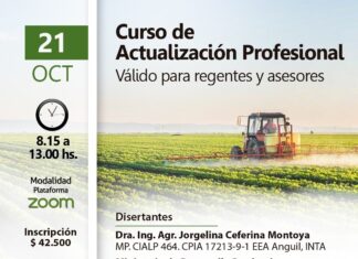 Curso de actualización profesional