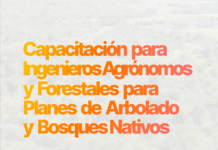 Capacitación para Ingenieros Agronomos y Forestales matriculados para Planes de Arbolado y Bosques Nativos