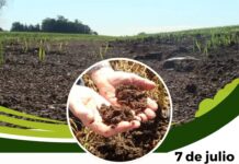 7 de julio – Dia internacional de la conservación del suelo