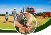 08 de septiembre| DIA DE LA AGRICULTURA Y PRODUCTOR AGROPECUARIO