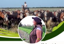 15/10 – Día Internacional de la Mujer Rural