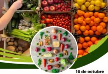 16 de octubre | DIA MUNDIAL DE LA ALIMENTACION